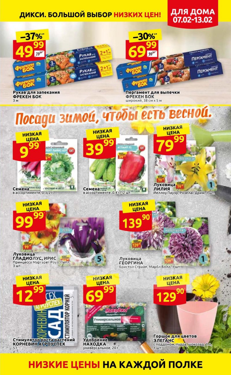 Акции в Дикси с 7 по 13 февраля 2022 года страница 31