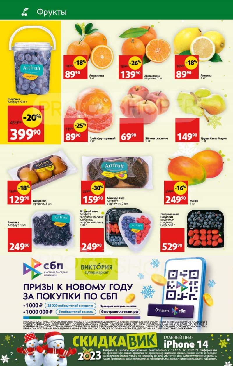 Каталог Виктория с 26 декабря 2022 по 8 января 2023 года страница 2
