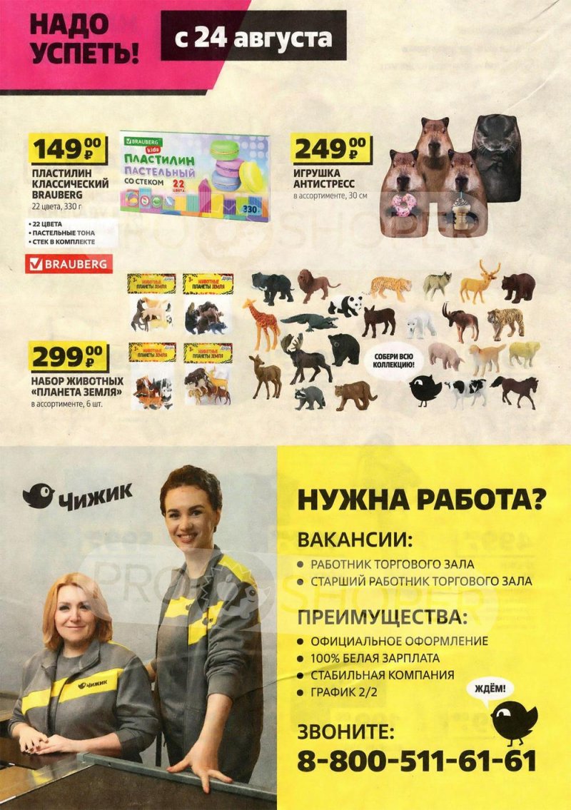 Акции Чижик с 17 по 30 августа 2023 года страница 8