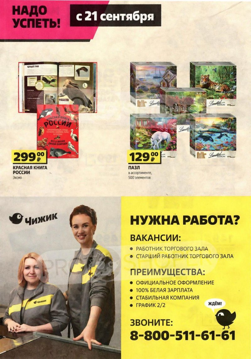 Акции Чижик с 14 по 27 сентября 2023 года страница 8