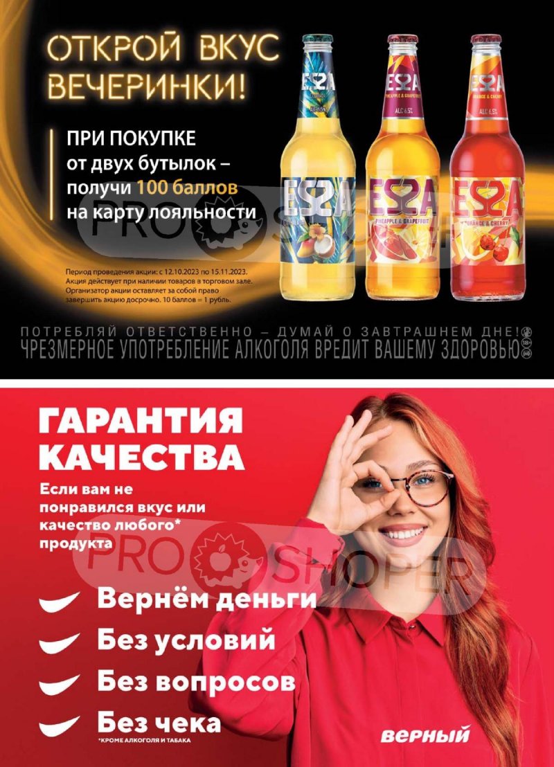 Каталог Верный «Сезонный каталог» с 12 октября по 15 ноября 2023 года страница 42