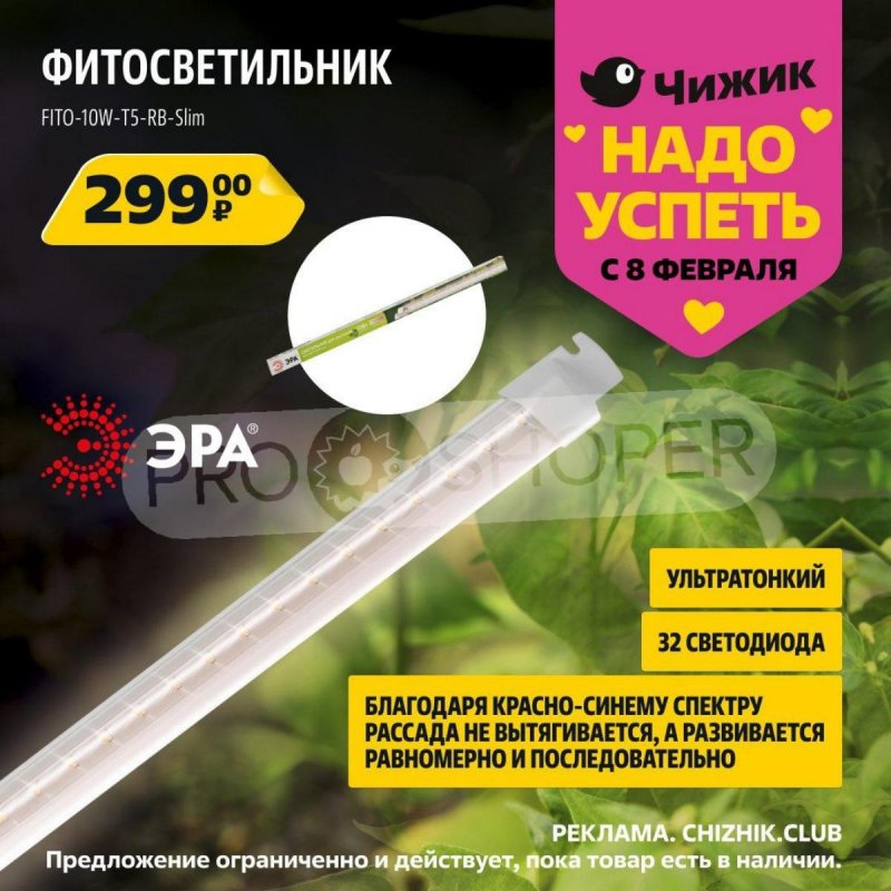Каталог Чижик «Надо успеть» с 8 по 14 февраля 2024 года страница 6