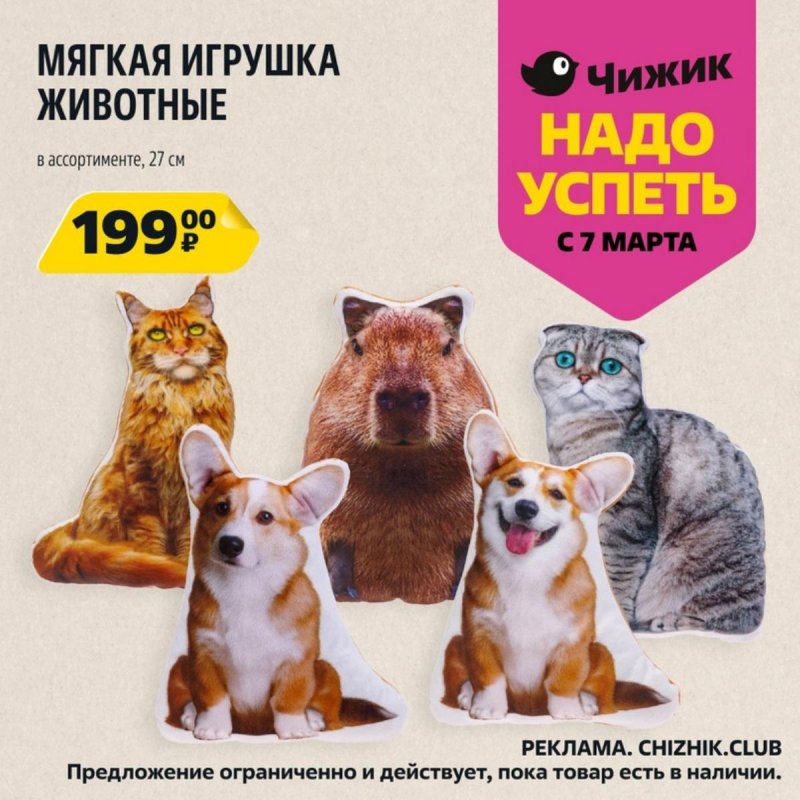 Каталог Чижик «Надо успеть» с 7 по 13 марта 2024 года страница 7