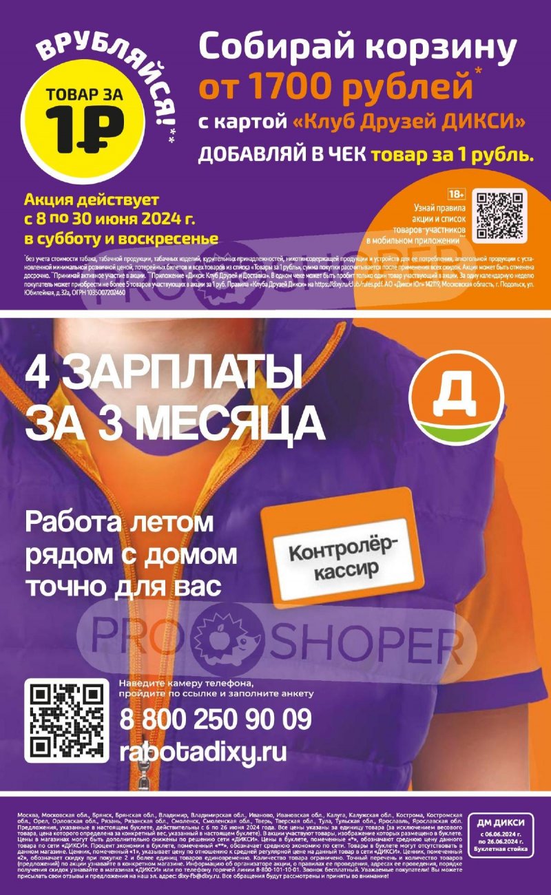 Каталог Дикси «Сезонный каталог» с 6 по 26 июня 2024 года страница 32