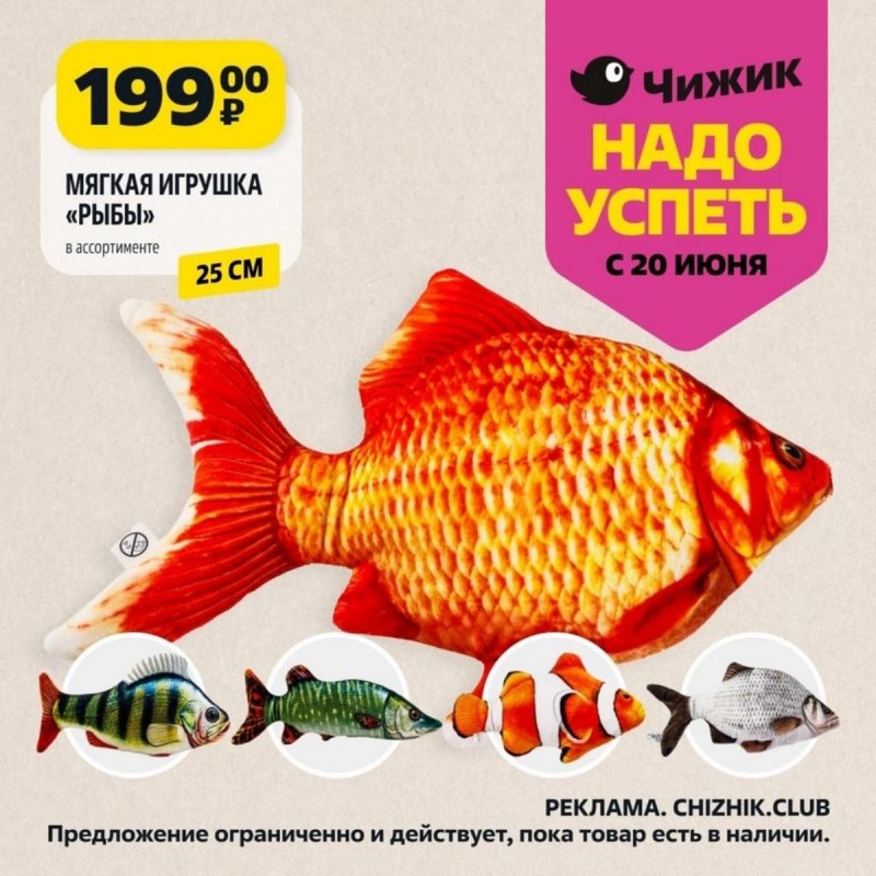 Каталог Чижик «Надо успеть» с 20 по 26 июня 2024 года страница 6