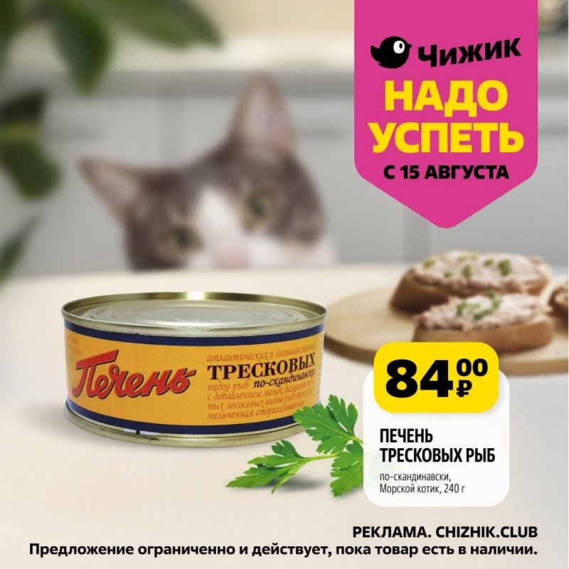 Каталог Чижик «Надо успеть» с 15 по 21 августа 2024 года страница 8