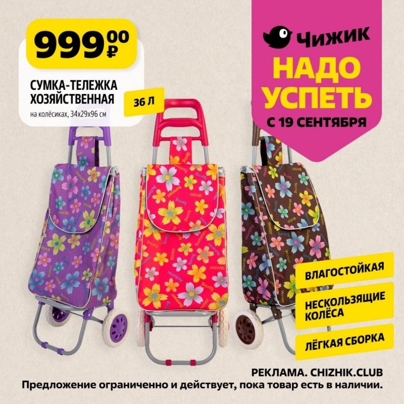 Каталог Чижик «Надо успеть» с 19 по 25 сентября 2024 года страница 5