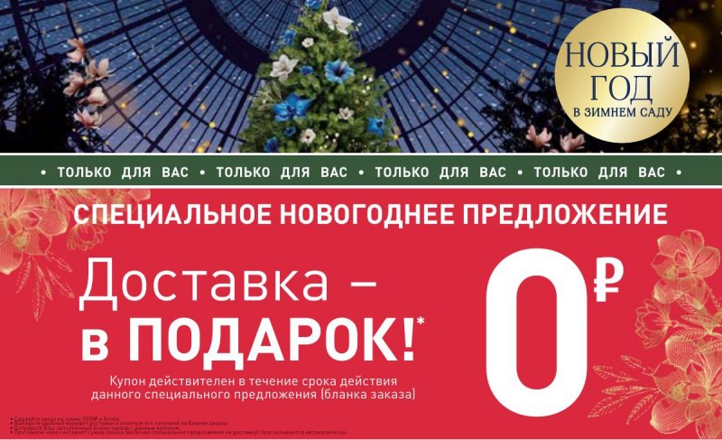 Каталог Ив Роше на Ноябрь 2024 год страница 53