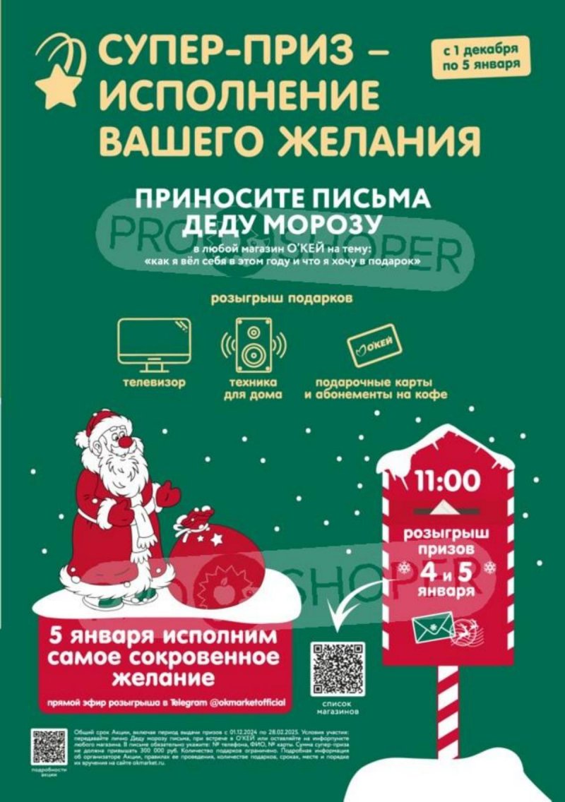 Акции в ОКЕЕ с 19 декабря 2024 по 8 января 2025 года страница 13