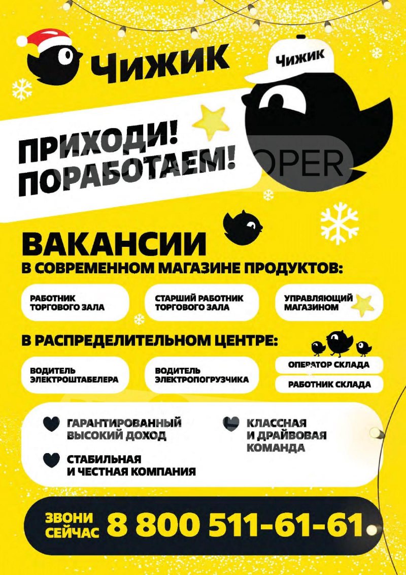 Акции в Чижике с 26 декабря 2024 по 8 января 2025 года страница 26
