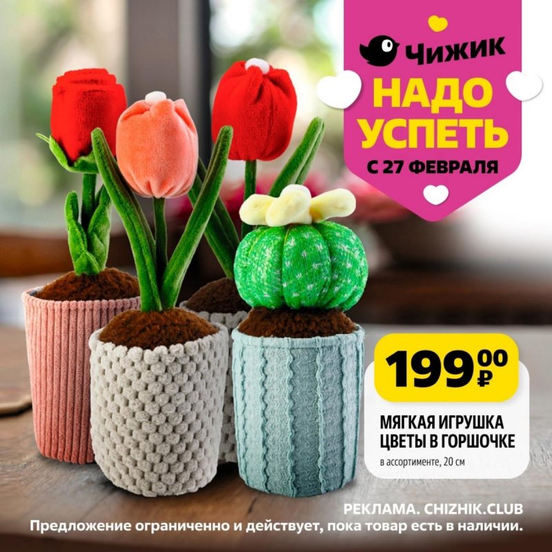 Каталог Чижик «Надо успеть» с 27 февраля по 5 марта 2025 года страница 5