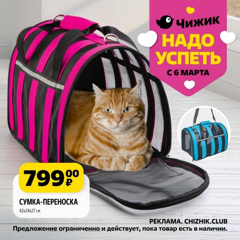 Каталог Чижик «Надо успеть» с 6 по 12 марта 2025 года страница 5