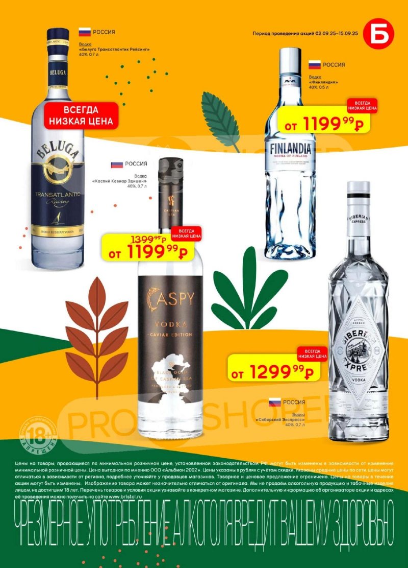 Каталог Бристоль с 2 по 15 сентября 2025 года — Москва страница 13