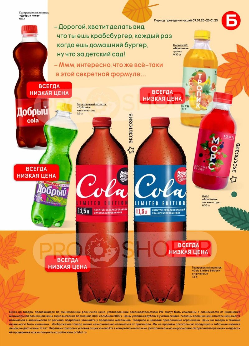 Каталог Бристоль с 2 по 15 сентября 2025 года — Москва страница 29