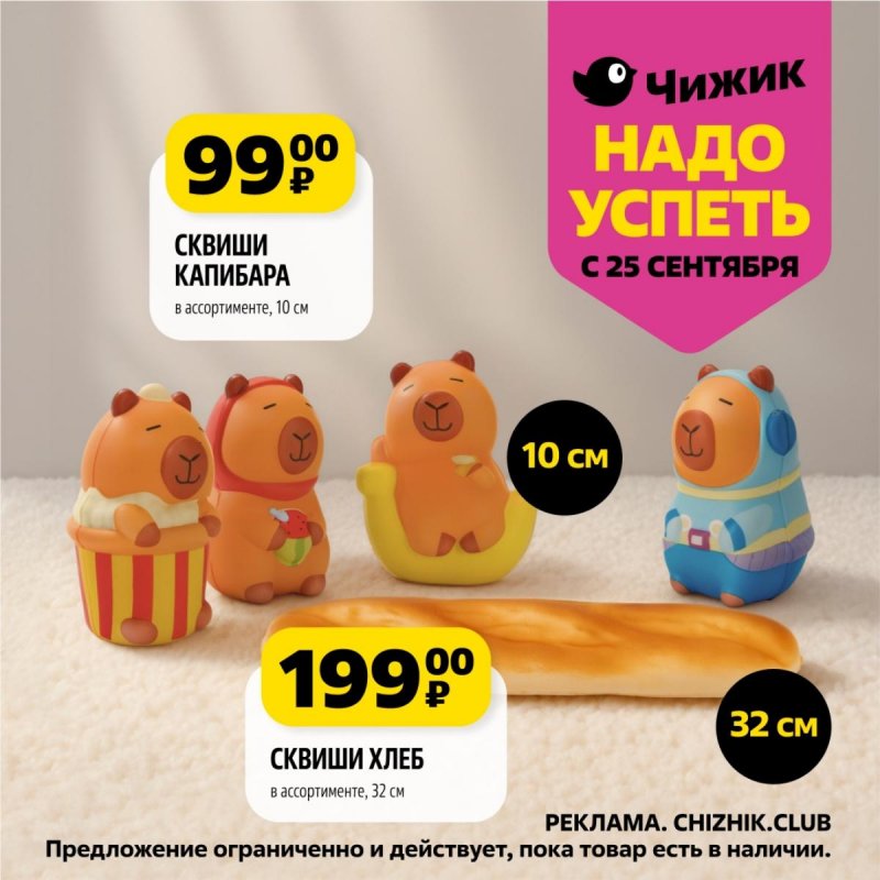 Каталог Чижик «Надо успеть» с 25 сентября по 1 октября 2025 года страница 7