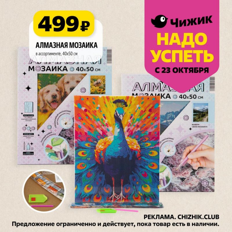 Каталог Чижик «Надо успеть» с 23 по 29 октября 2025 года страница 7