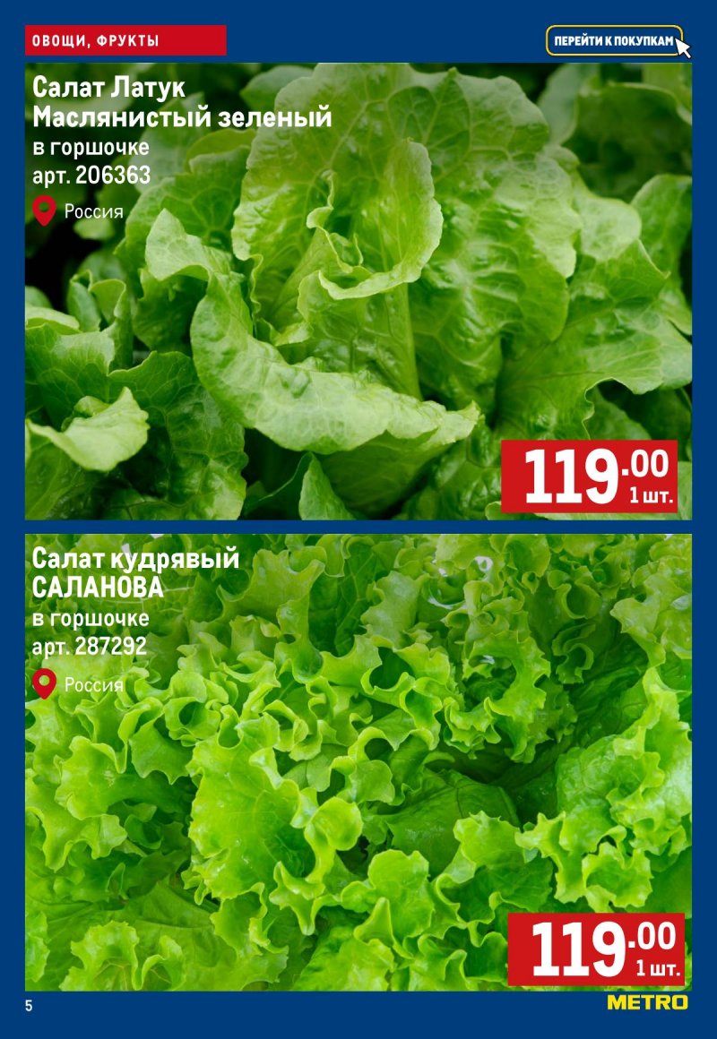 Каталог МЕТРО «Свежие фрукты и овощи» с 12 по 18 февраля 2026 года страница 5