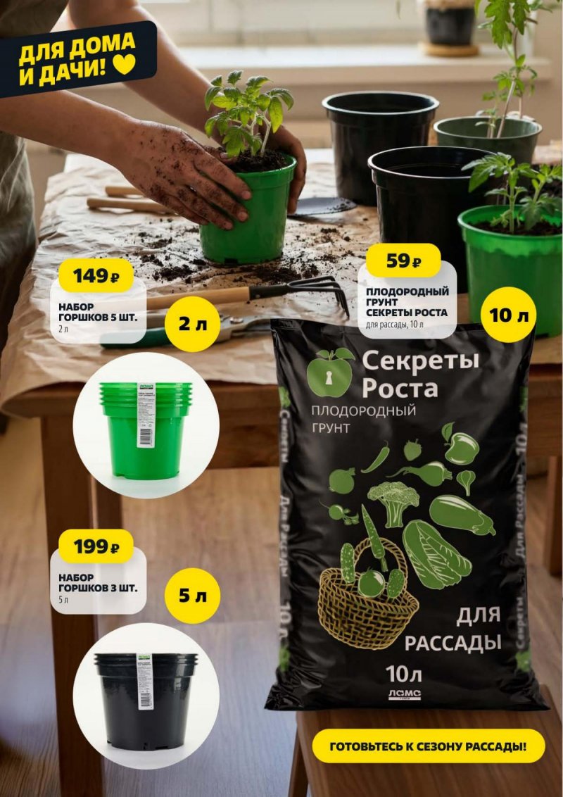 Акции в Чижике с 19 по 25 марта 2026 года — Каталог в Москве страница 13