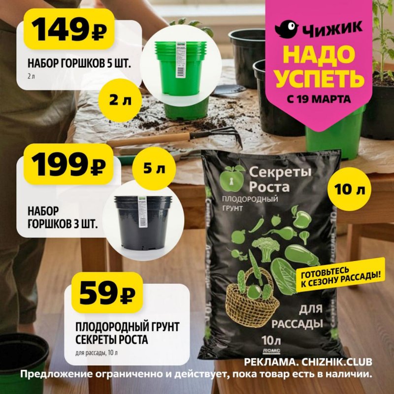 Акции в Чижике «Надо успеть» с 19 по 25 марта 2026 года страница 7