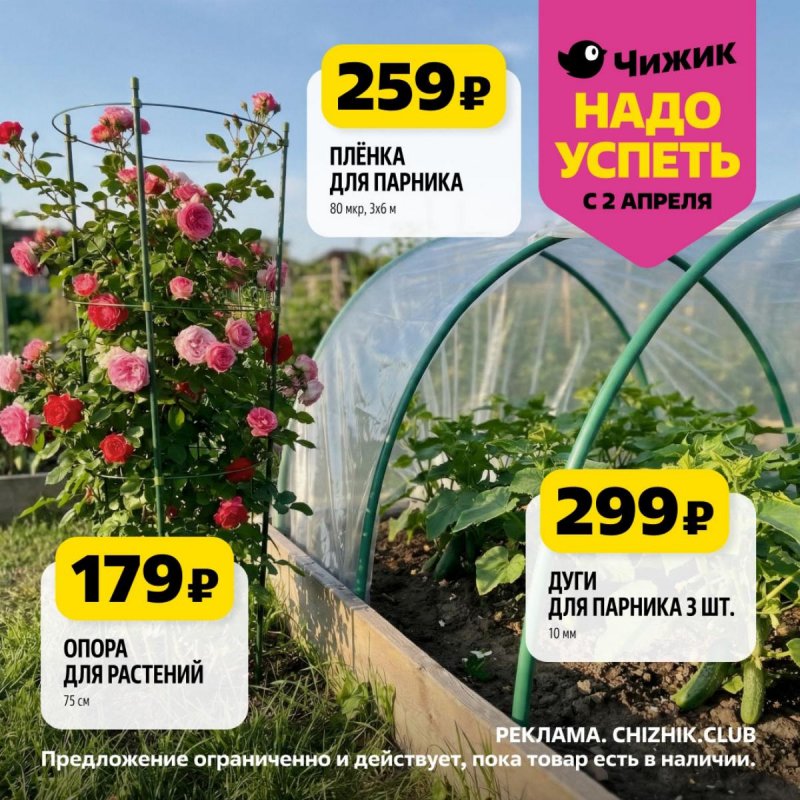 Акции в Чижике «Надо успеть» с 2 по 8 апреля 2026 года страница 5 Акции в Чижике «Надо успеть» с 2 по 8 апреля 2026 года страница 5