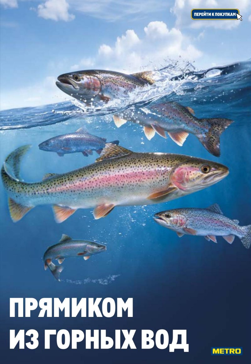 Акции в МЕТРО с 23 апреля по 6 мая 2026 года страница 5